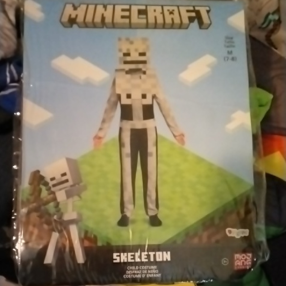 Minecraft Skeleton Kids Costume